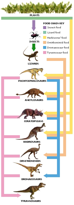 picture of food chain and food web. Cretaceous food chain