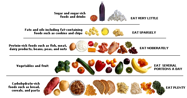 Protein-rich foods, in the middle row, should be eaten in moderate amounts.