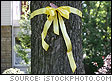 Yellow Ribbon Tied Around Tree