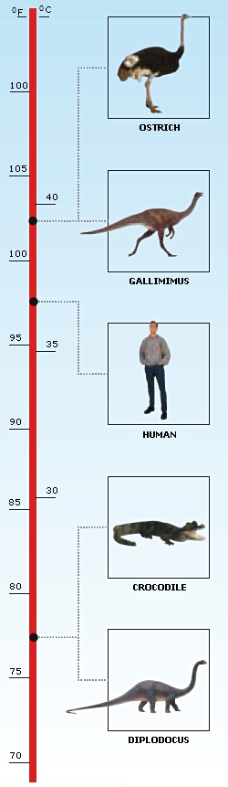 DK Science: Body Temperature