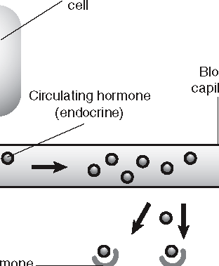 Hormones differ by the location of the target cells.