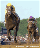 Animal Sports: Horse Racing