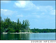 Looking north over Biscayne Bay at an island (at left) and at mangroves that line the shoreline (at back).