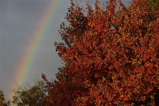 rainbow in autumn