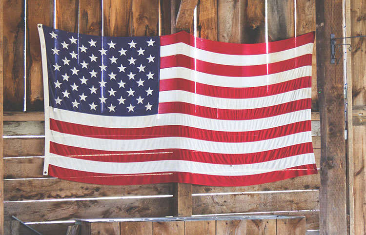 American Flag Flag Day