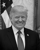 Official Portrait of Donald Trump