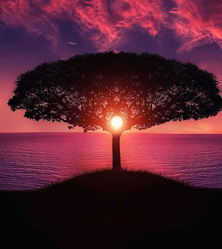 Glowing tree